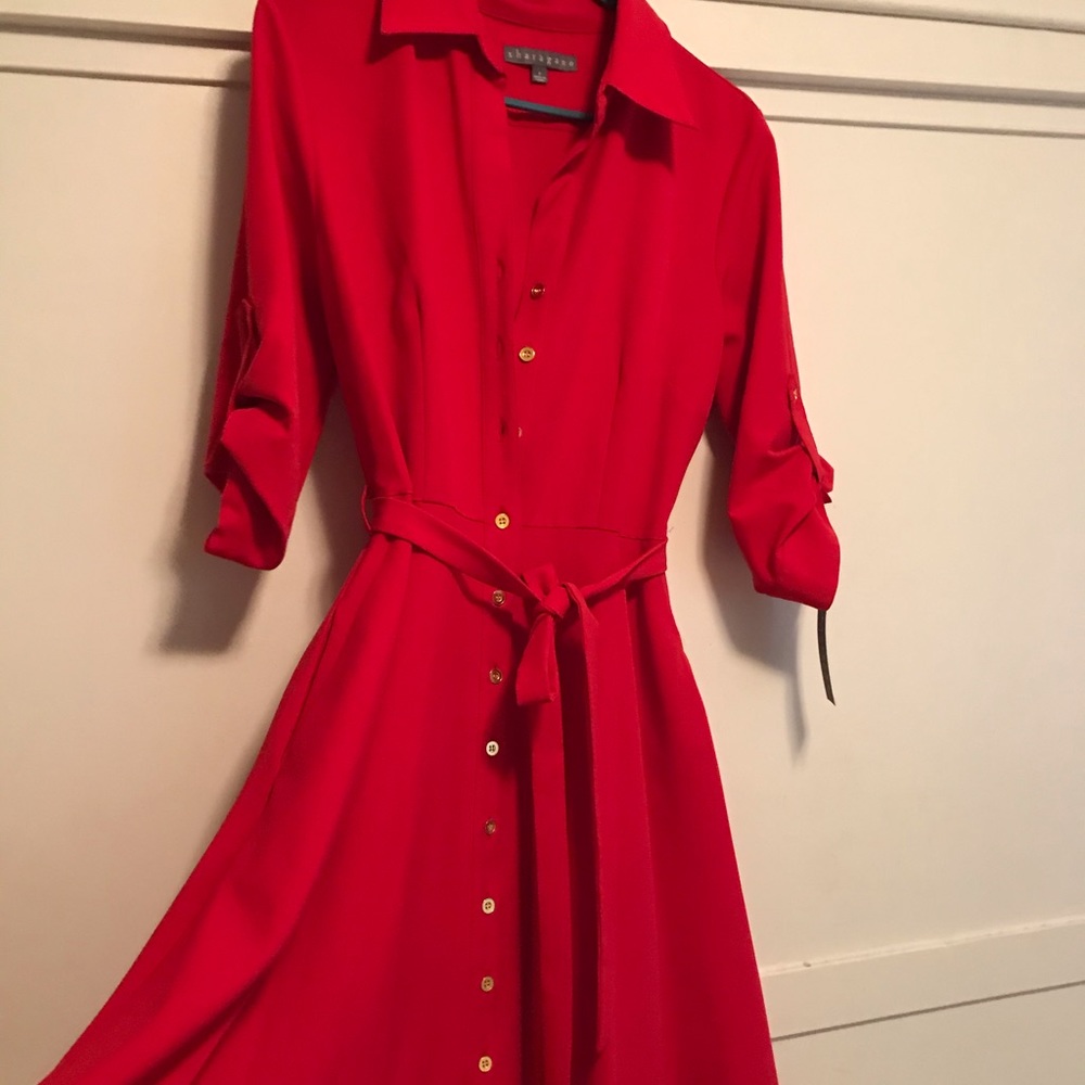 Beautiful Red Dress